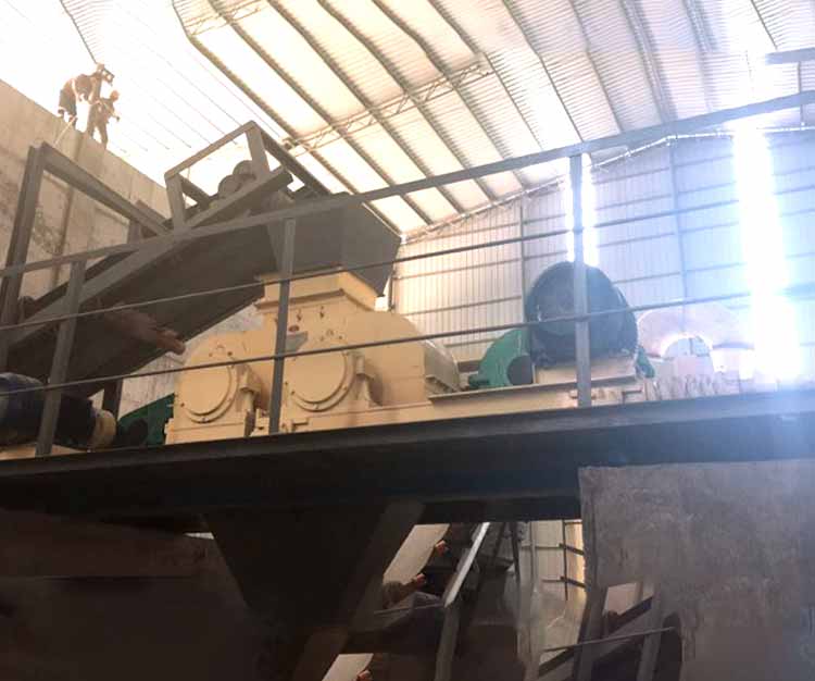 Coal Roller Crusher in Indonesia